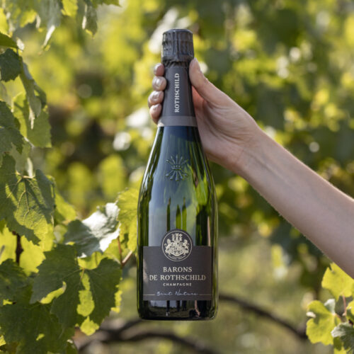 Brut Nature - Bouteille 75 cL (carton de 6)