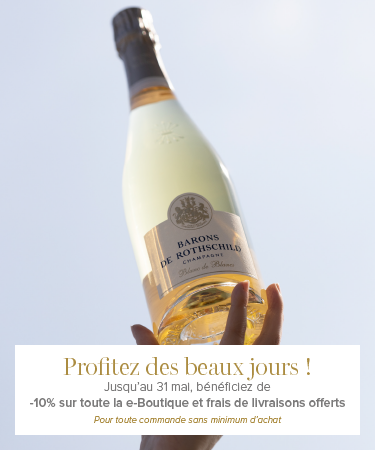 375x450px-BDR-Slide-FR